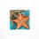 High relief handmade portuguese tile-starfish