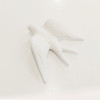 White swallow